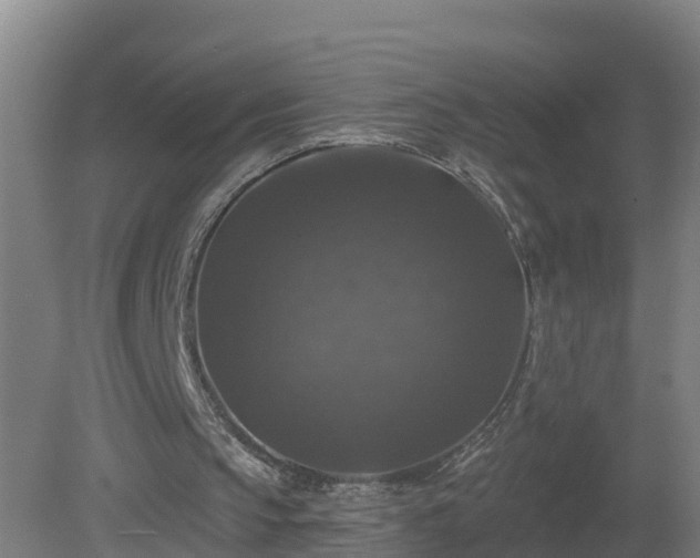 X0000081360145200701182122