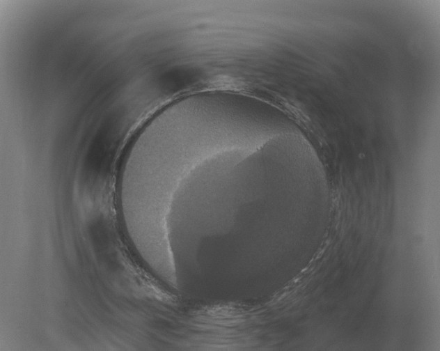 X0000081360146200701182122