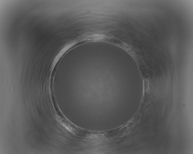 X0000081360147200701182122
