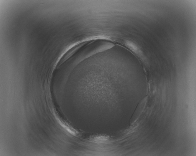 X0000081360156200701182122