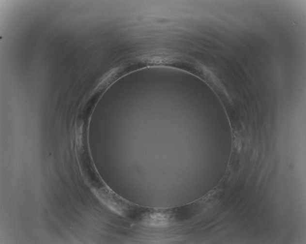 X0000081360163200701182122