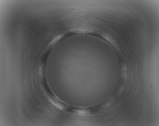 X0000081360165200701182122