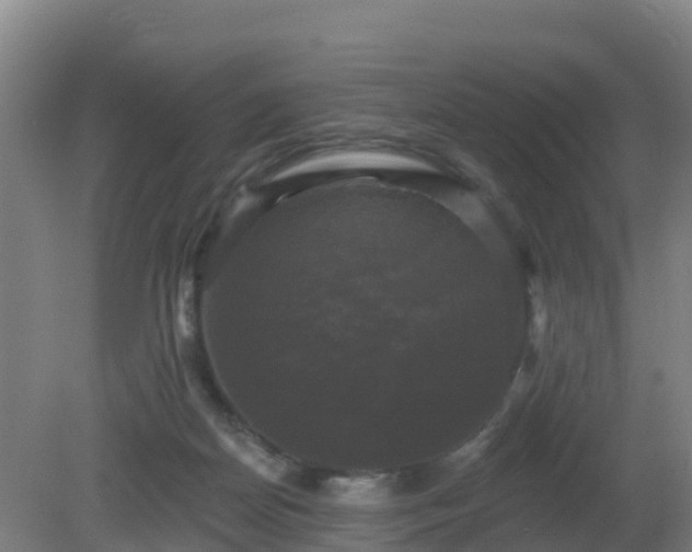 X0000081360170200701182122