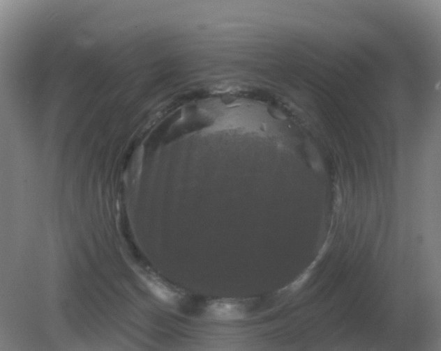 X0000081360174200701182122