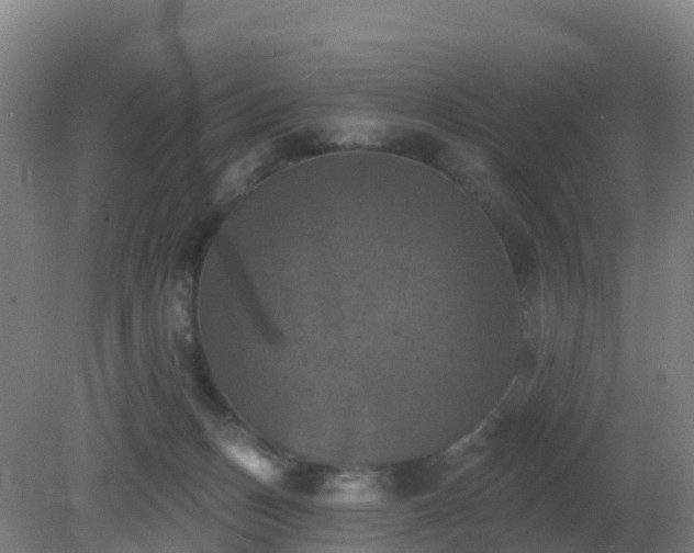 X0000081360175200701182122