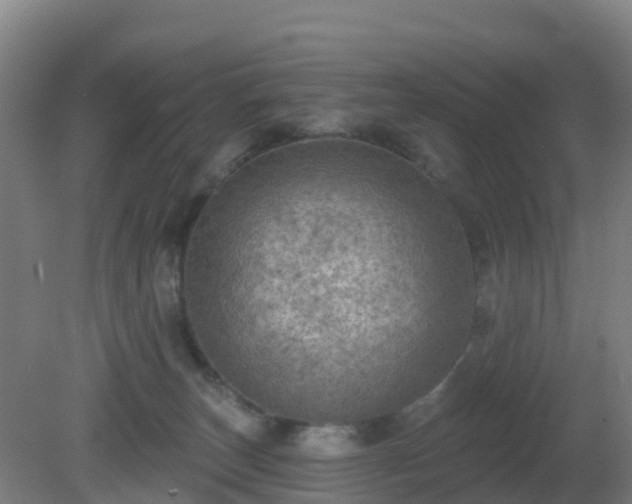 X0000081360179200701182122