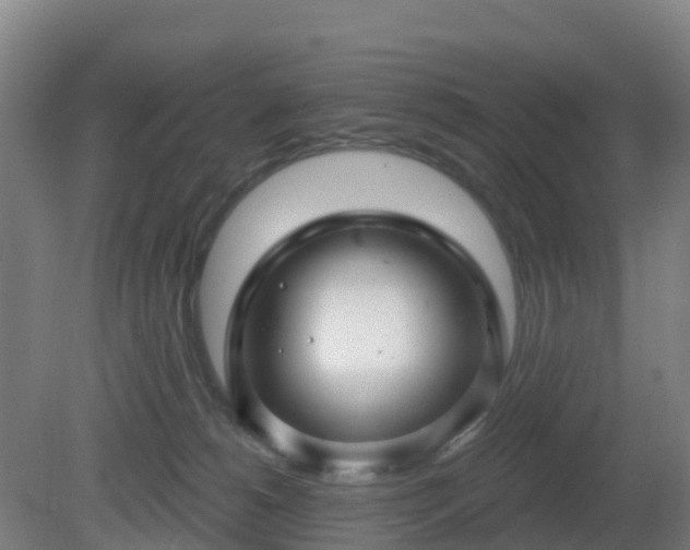 X0000081360180200701182122