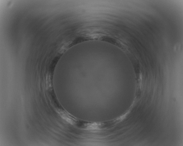 X0000081360182200701182122