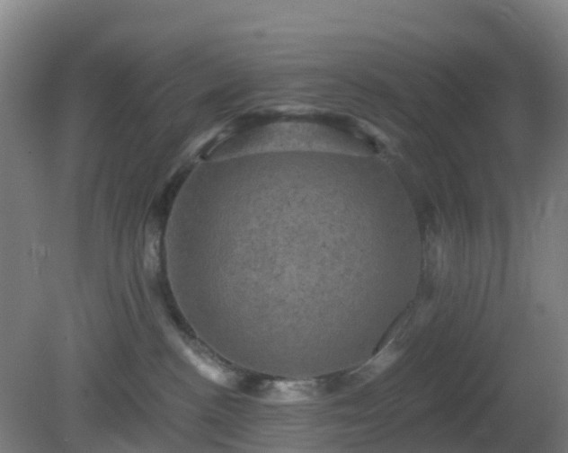 X0000081360188200701182122