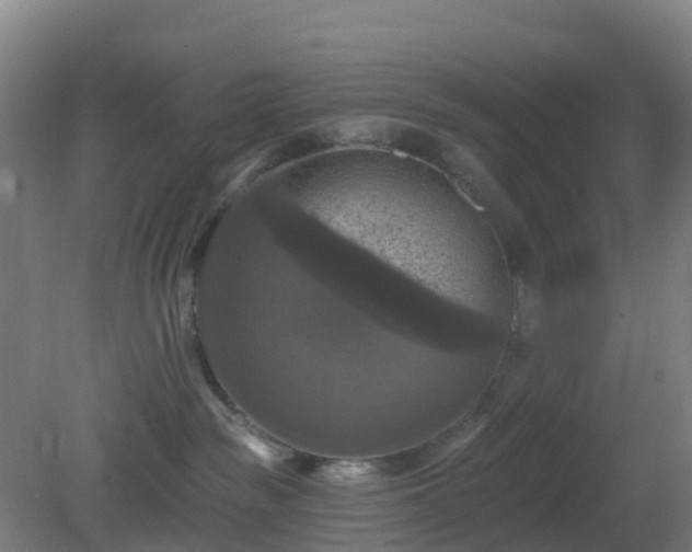 X0000081360189200701182122