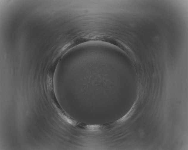 X0000081360192200701182122