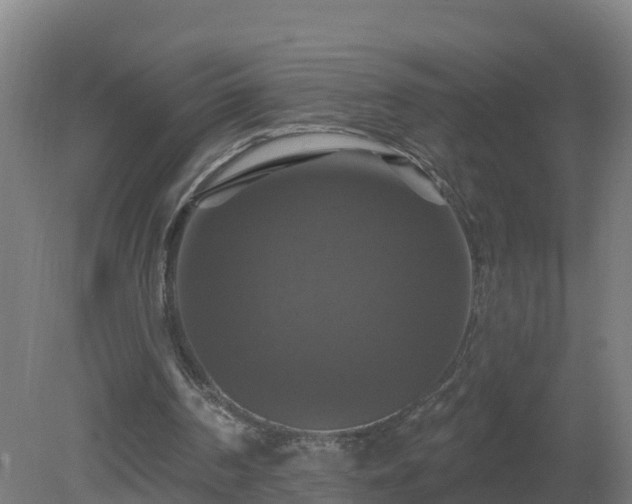 X0000081360194200701182122