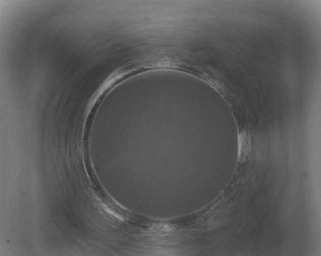 X0000081360195200701182122