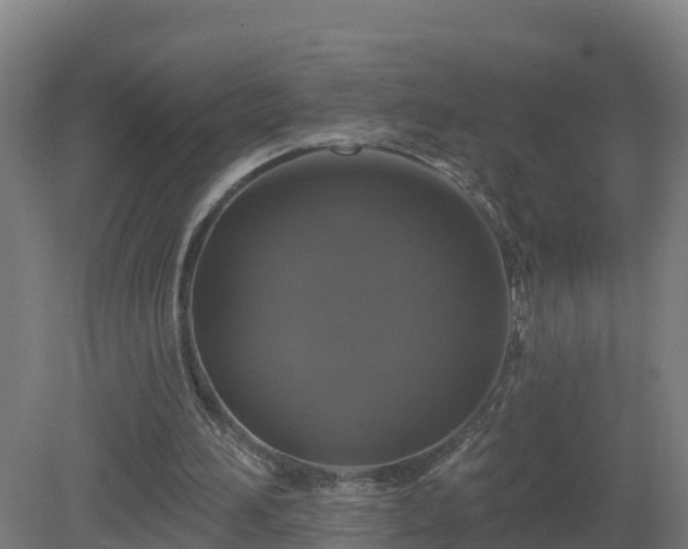 X0000081360196200701182122