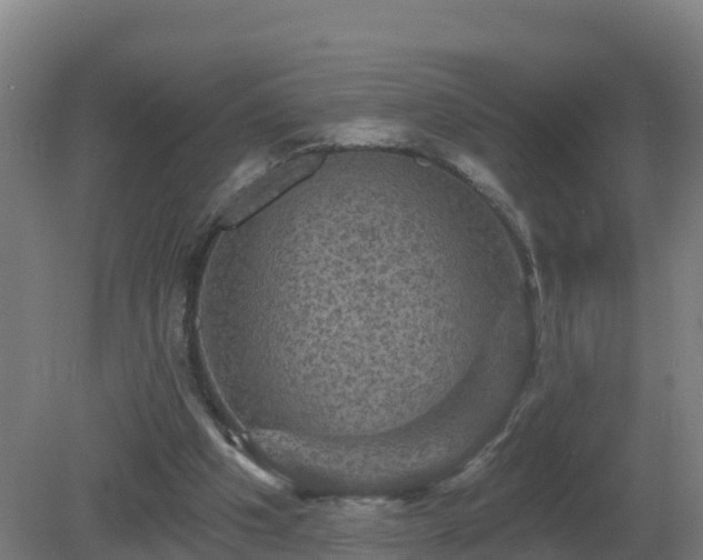 X0000081360201200701182121