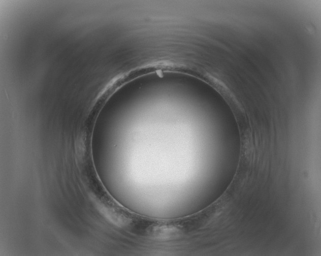 X0000081360208200701182121