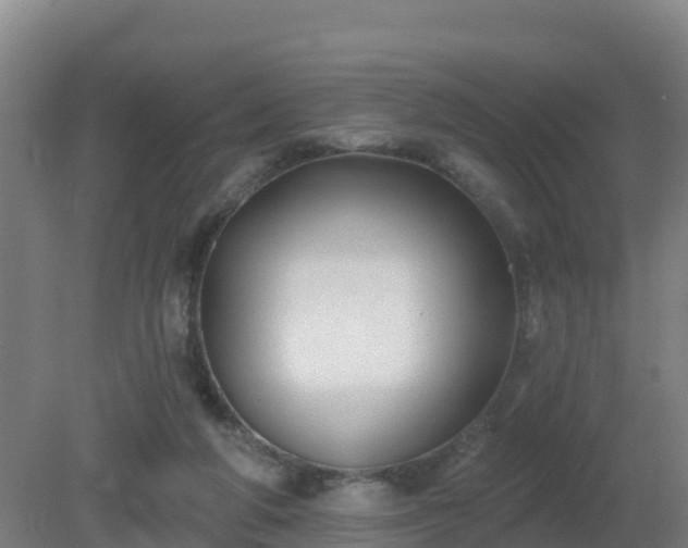 X0000081360210200701182121