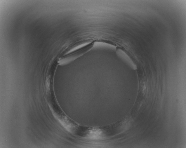 X0000081360214200701182121