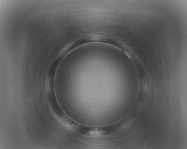X0000081360216200701182121