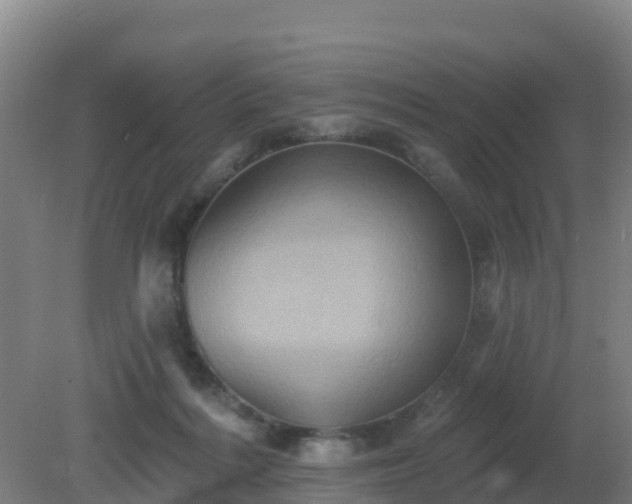 X0000081360220200701182121