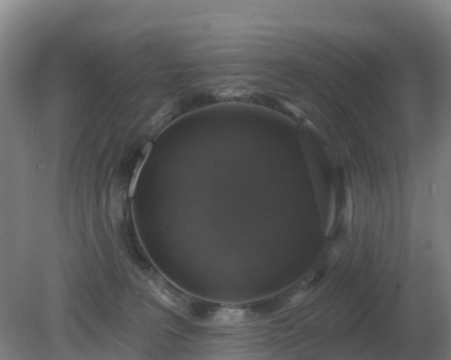 X0000081360227200701182121