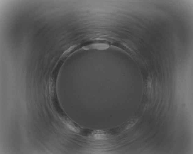 X0000081360228200701182121