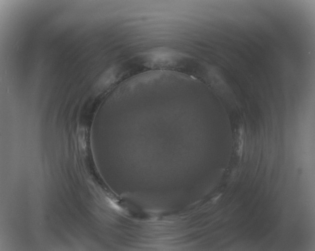 X0000081360232200701182121
