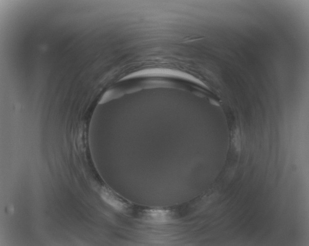 X0000081360233200701182121