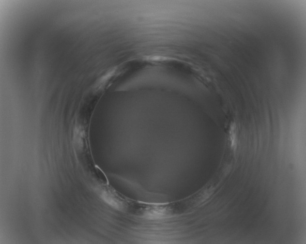 X0000081360235200701182121