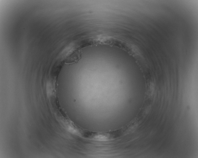 X0000081360236200701182121