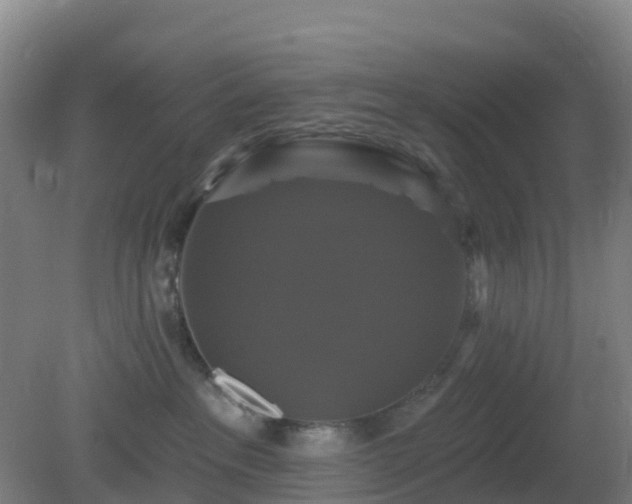 X0000081360237200701182121