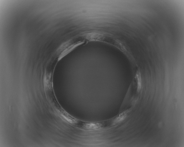 X0000081360239200701182121