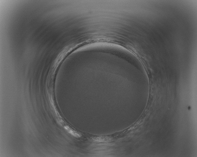 X0000081360241200701182120