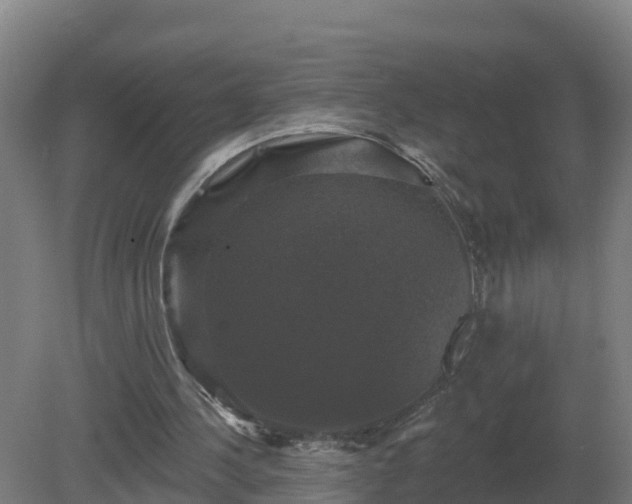 X0000081360244200701182120