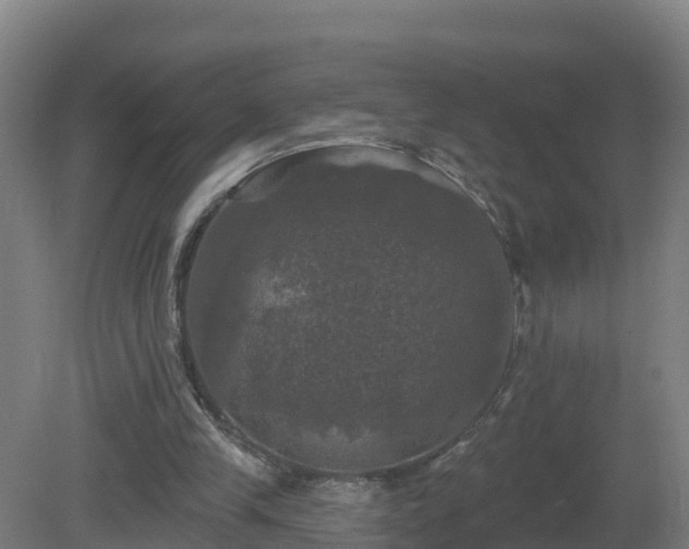 X0000081360245200701182120