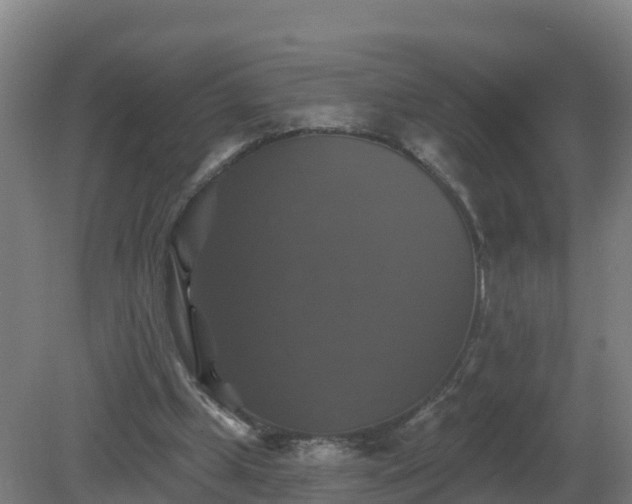 X0000081360249200701182120