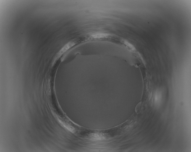 X0000081360250200701182120