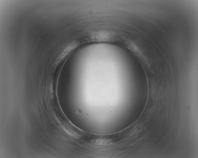 X0000081360251200701182120
