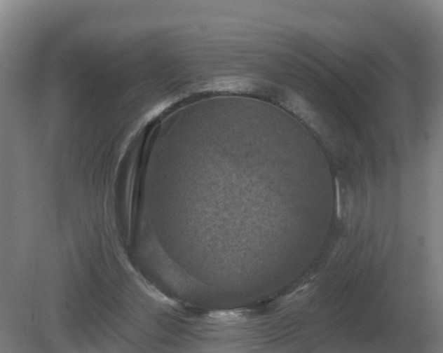 X0000081360252200701182120