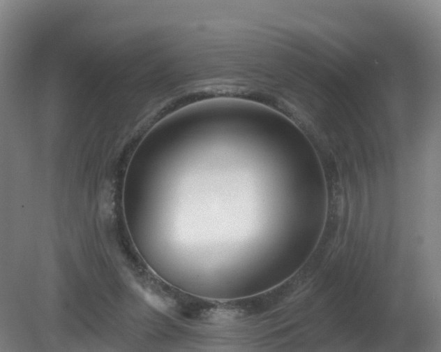 X0000081360255200701182120