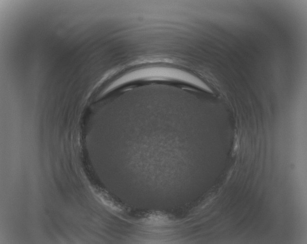 X0000081360256200701182120