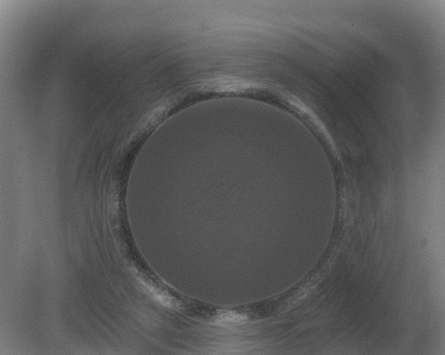 X0000081360257200701182120