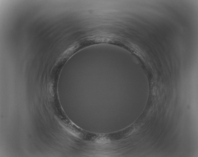 X0000081360258200701182120