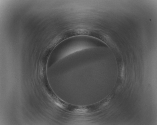X0000081360266200701182120