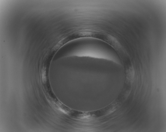 X0000081360267200701182120