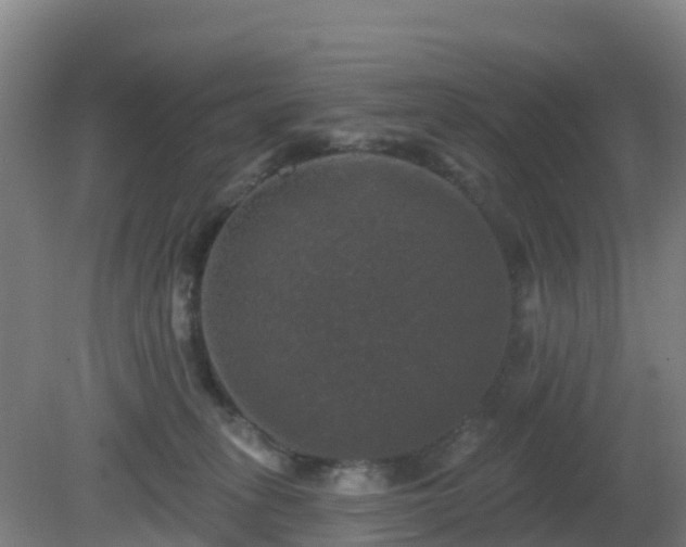 X0000081360275200701182121