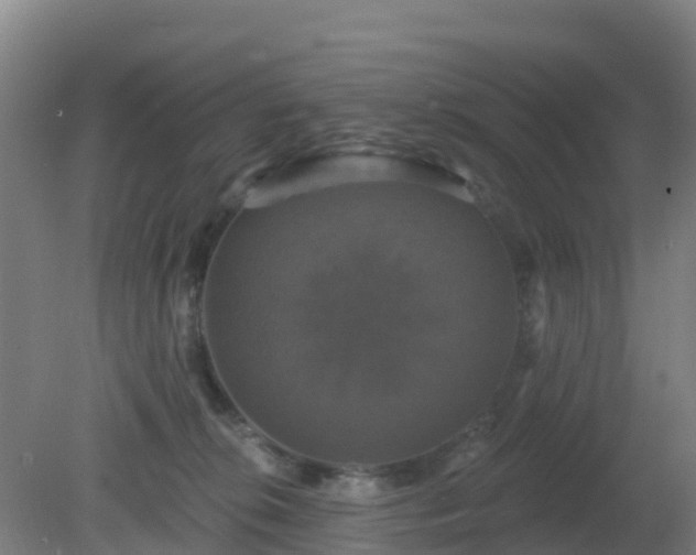 X0000081360276200701182121