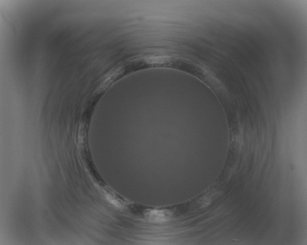 X0000081360277200701182121