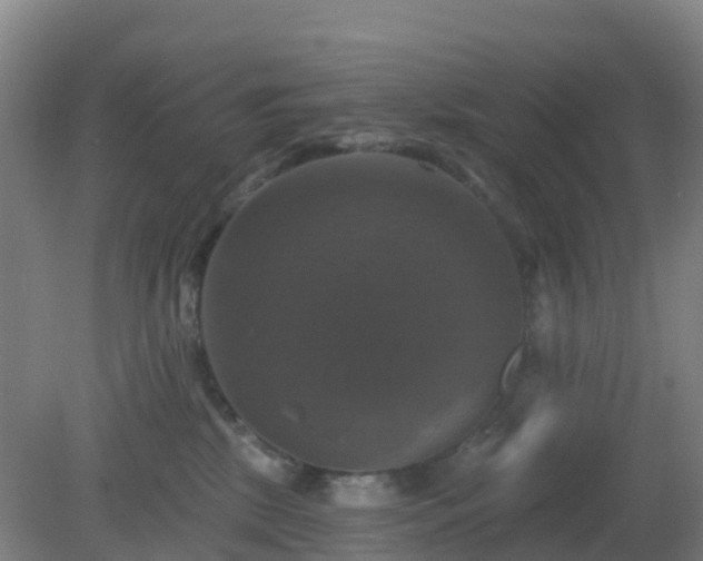 X0000081360281200701182121
