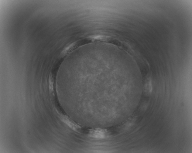 X0000081360282200701182121
